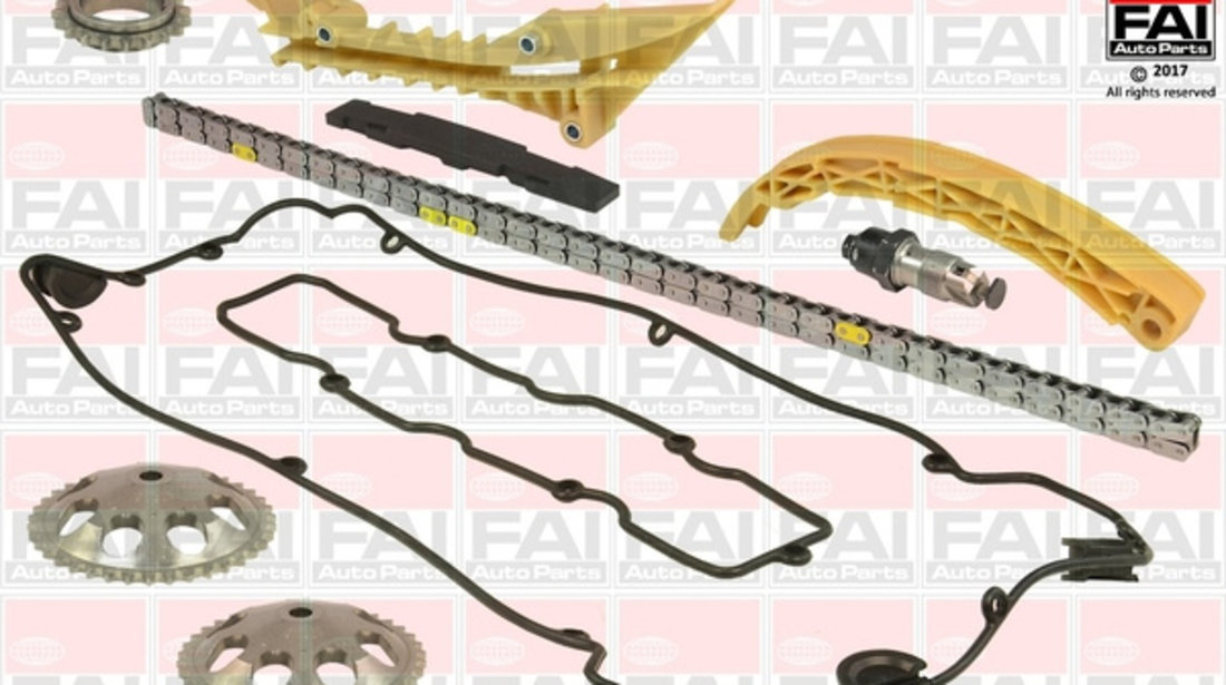 Chit lant de distributie (TCK265 FAI AutoParts) SAAB