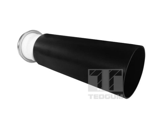 Chit protectie praf,amortizor Axa spate ambele parti (00679052 TED) TOYOTA