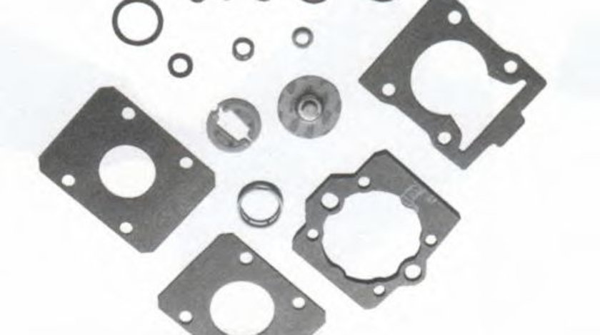 Chit reparatie, injectoare FIAT FIORINO Caroserie (146) (1988 - 2016) MEAT & DORIA 750-10006 piesa NOUA