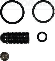 Chit reparatie,unitate pompa-duza (154211901 REI) AUDI,SEAT,SKODA,VW