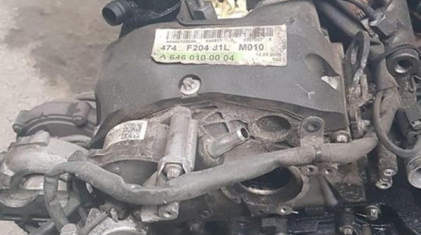Chiuloasa complecta Mercedes 2.2 cdi 2009