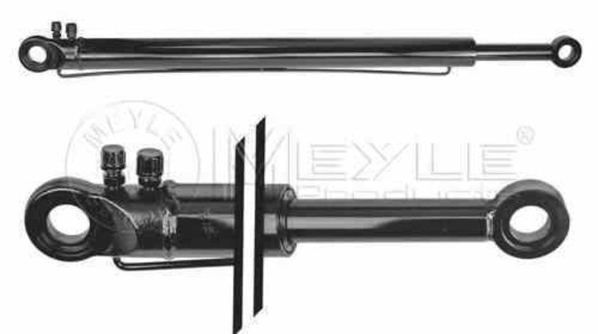 Cilindru basculare cabina sofer DAF 75 CF MEYLE 14-34 910 1002