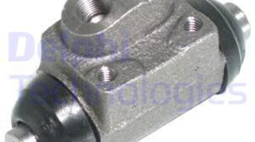 Cilindru receptor frana puntea spate (LW30048 DELPHI) FORD,HYUNDAI