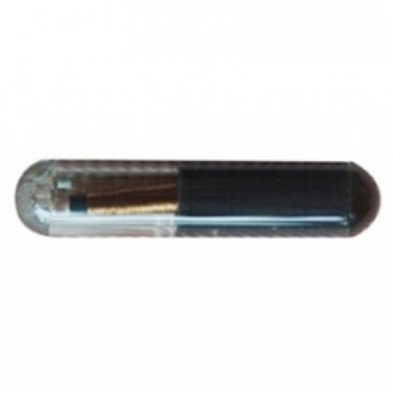 Cip Auto 4C Ford CIP 04