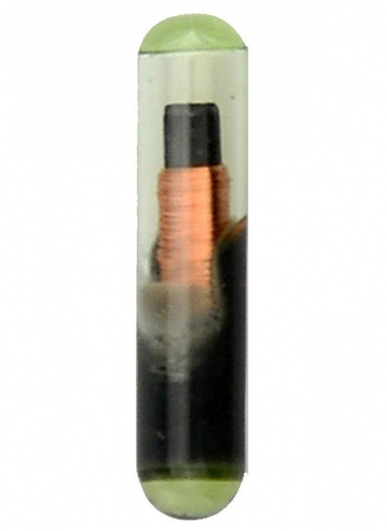 Cip Auto ID 48 Megamos CIP 30