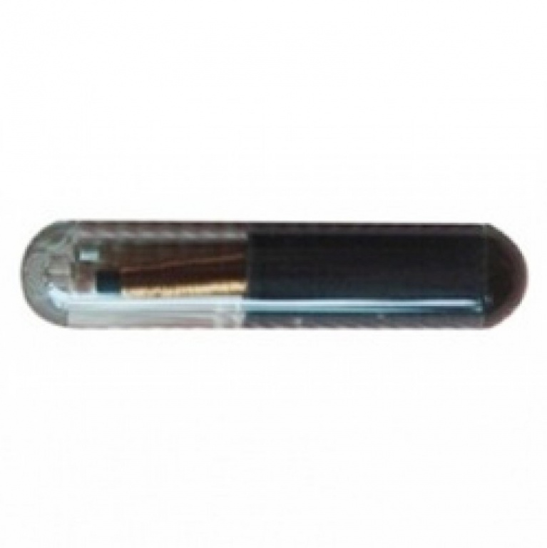Cip Auto ID8E Sticla CIP 36