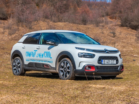 Citroen 2019 Cactus