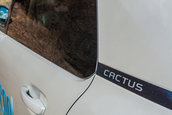 Citroen 2019 Cactus