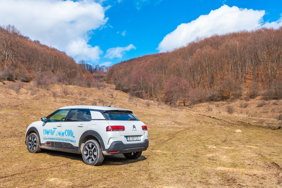 Citroen 2019 Cactus