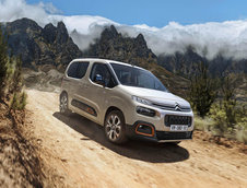 Citroen Berlingo Multispace