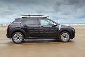 Citroen C4 Cactus Rip Curl