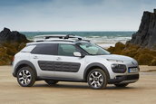 Citroen C4 Cactus Rip Curl