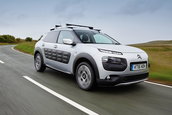 Citroen C4 Cactus Rip Curl