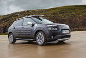 Citroen C4 Cactus Rip Curl