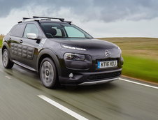 Citroen C4 Cactus Rip Curl