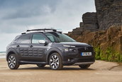 Citroen C4 Cactus Rip Curl