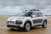 Citroen C4 Cactus Rip Curl