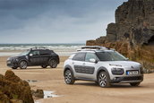 Citroen C4 Cactus Rip Curl