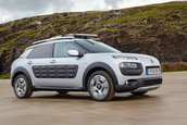 Citroen C4 Cactus Rip Curl