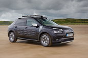 Citroen C4 Cactus Rip Curl