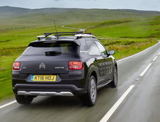 Citroen C4 Cactus Rip Curl