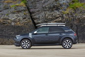 Citroen C4 Cactus Rip Curl