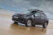 Citroen C4 Cactus Rip Curl