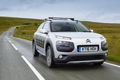 Citroen C4 Cactus Rip Curl