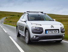 Citroen C4 Cactus Rip Curl