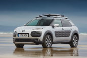 Citroen C4 Cactus Rip Curl