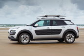 Citroen C4 Cactus Rip Curl