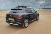 Citroen C4 Cactus Rip Curl