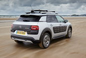 Citroen C4 Cactus Rip Curl