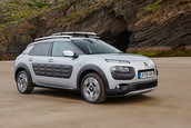 Citroen C4 Cactus Rip Curl