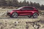 Citroen DS Wild Rubis