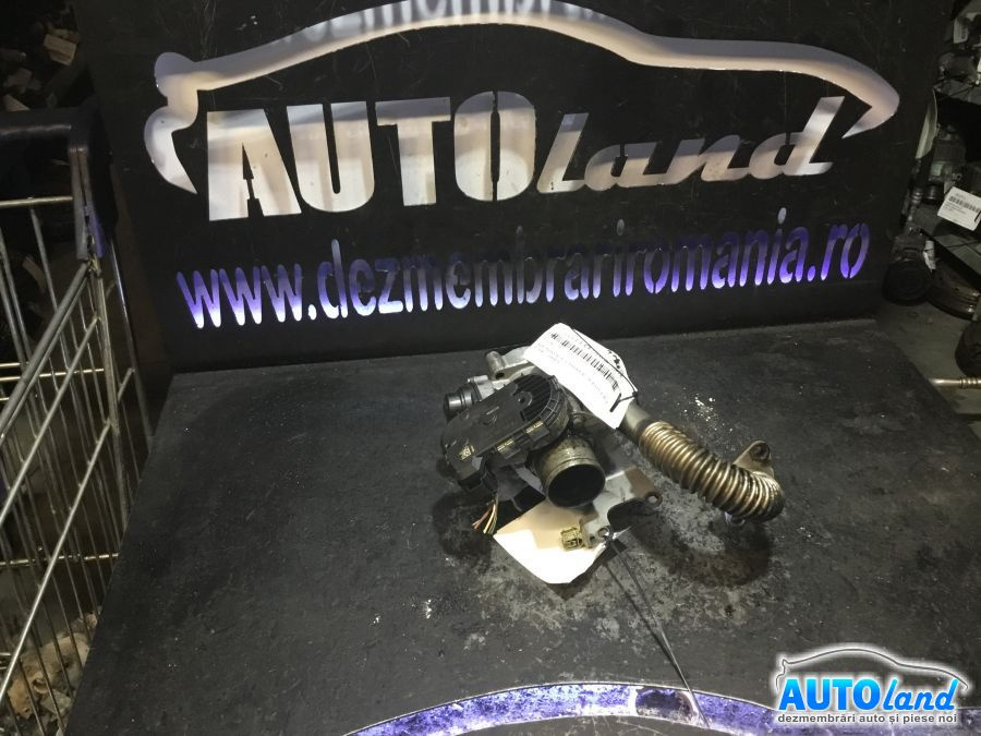 Clapeta Acceleratie 8200330810e 2.0 DCI Renault TRAFIC II bus JL 2001