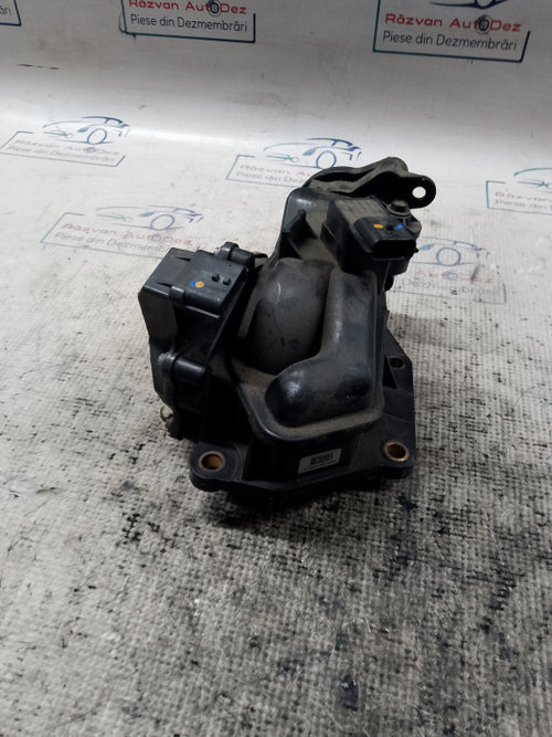 Clapeta acceleratie Renault Kadjar 1.6 2016, A2C53350932