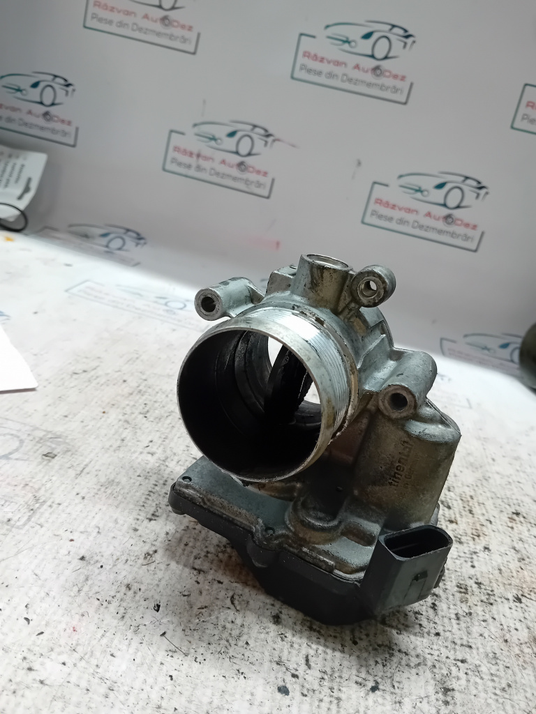 Clapeta acceleratie Volkswagen Passat B7