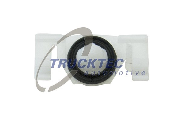 Clips, acoperire decorativa si protectie (0267224 TRUCKTEC) MERCEDES-BENZ