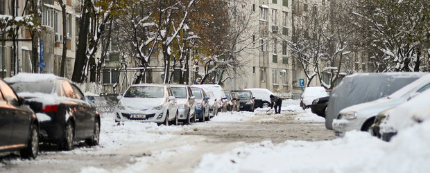 COD PORTOCALIU DE NINSORI in Bucuresti si in toata partea de sud-est a Romaniei