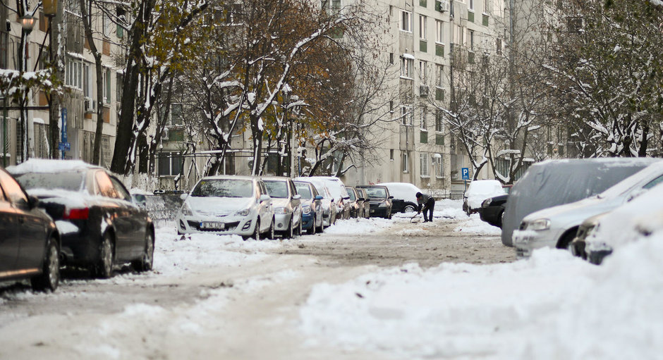 COD PORTOCALIU DE NINSORI in Bucuresti si in toata partea de sud-est a Romaniei