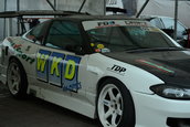 colantari