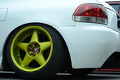 colantari
