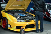 colantari