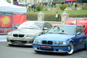 colantari