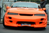 colantari