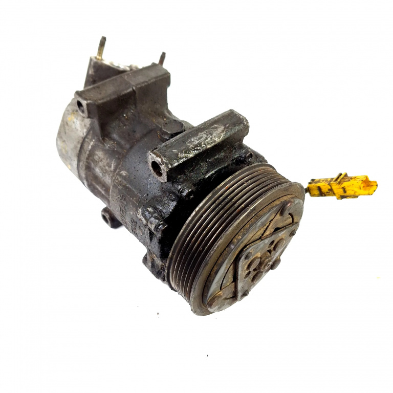 Compresor Aer Conditionat Peugeot 206 1998-2013 1.4 I Benzina 9646273880 Sanden