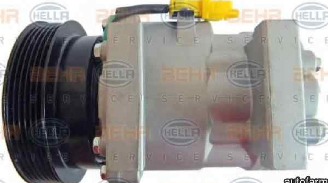 compresor clima aer conditionat RENAULT SCÉNIC II JM0/1 HELLA 8FK 351 316-921