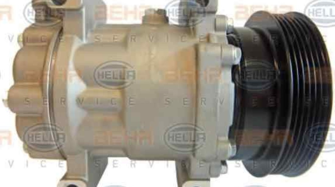 compresor clima aer conditionat RENAULT SCÉNIC II JM0/1 HELLA 8FK 351 316-921