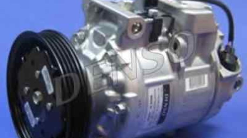 Compresor, climatizare AUDI A4 Avant (8E5, B6) DENSO DCP02024